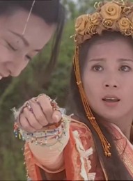 【杨门女将5：四郎探母/杨门女将之四郎探母】[香港内地][2004][[国语无字][mkv/4.09GB]